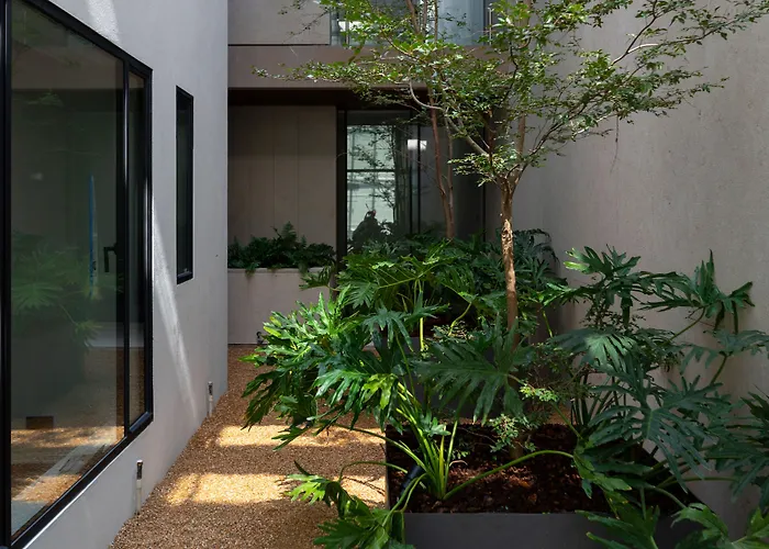 Casa Polanco Boutique Hotel